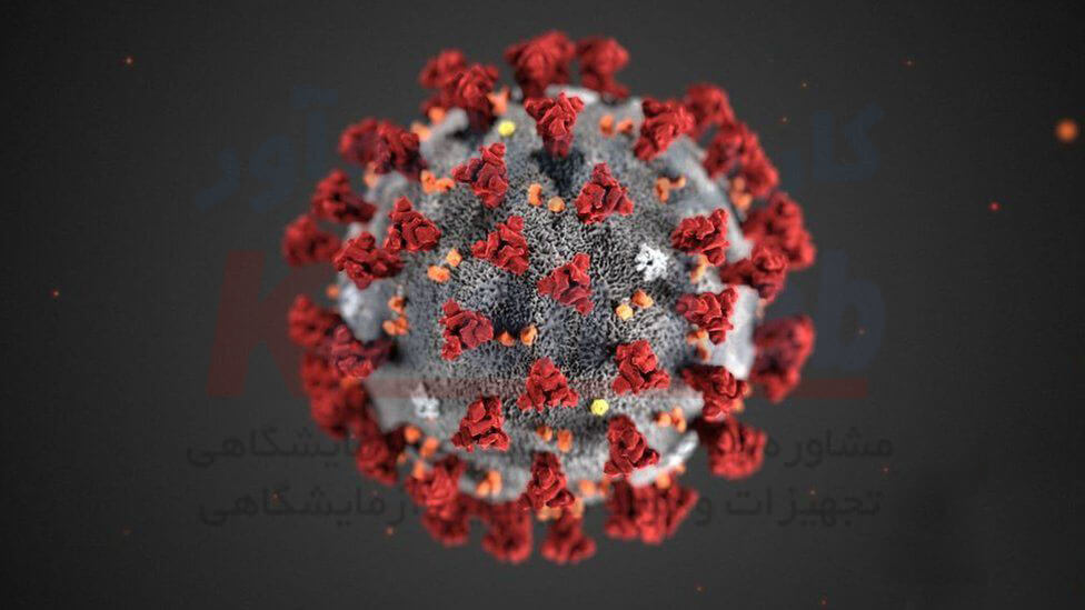 شکل طراحی شده ویروس کرونا توسط مرکز کنترل و پیشگیری بیماری