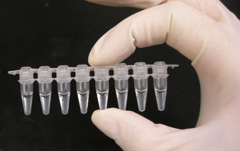 تیوب PCR